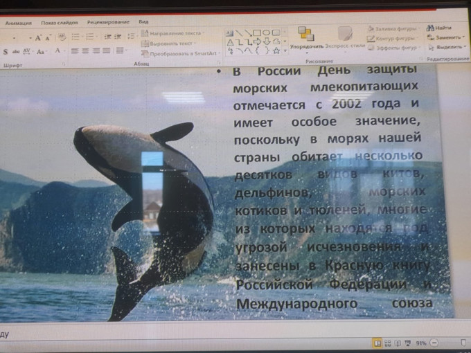 🐟 19 февраля отмечается как День защиты кита, В этот день ребята познакомились с разнообразием китов и других морских обитателей. Дети знают что киты занесены в красную книгу их нужно охранять. 🐟 19 февраля отмечается как День защиты кита, В этот день ребята познакомились с разнообразием китов и других морских обитателей. Дети знают что киты занесены в красную книгу их нужно охранять.
